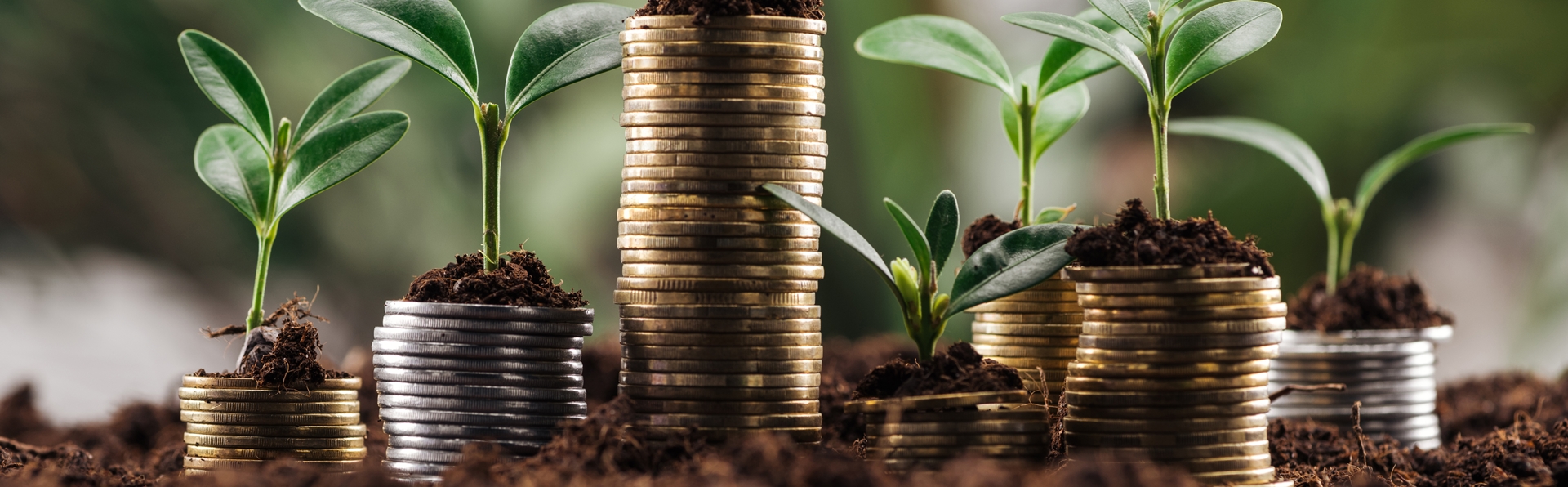 plants growing on coins